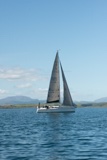 dealanach 2539c whyw22 sun 800_2369yi